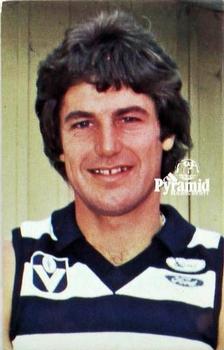 1980 Pyramid Geelong Cats #14 David Clarke Front